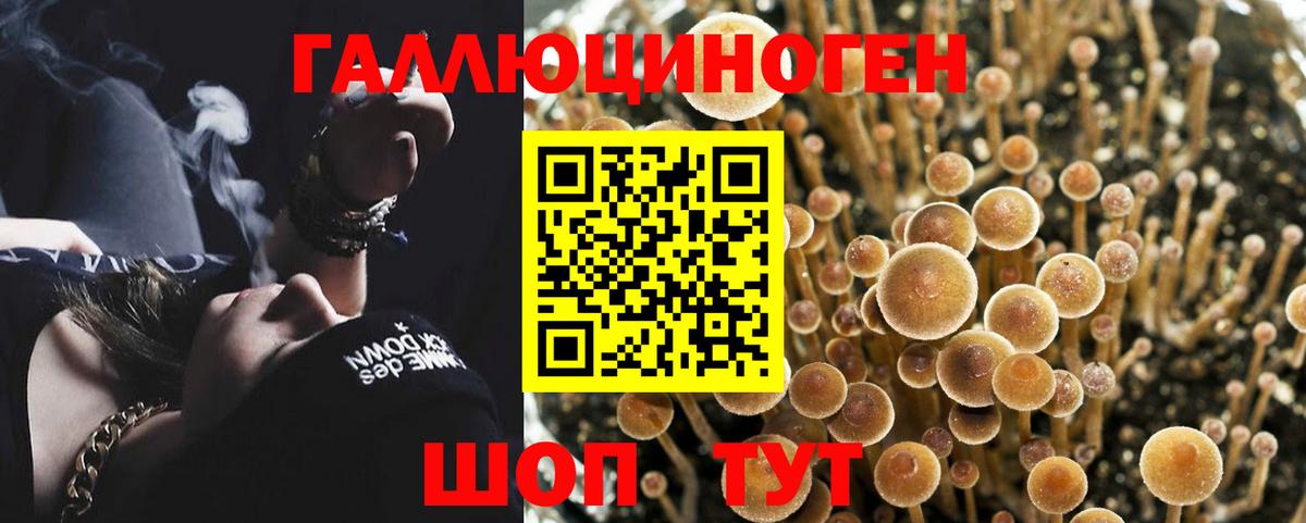 Псилоцибиновые грибы мухоморы  Галлюциногенные грибы MAGIC MUSHROOMS  Вичуга  Вход с VPN 